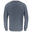 Grey Back 